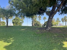 Enlarge photo 38