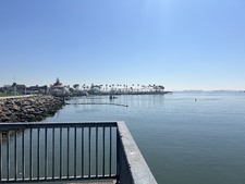 Enlarge photo 43