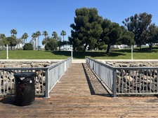 Enlarge photo 45