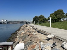 Enlarge photo 48