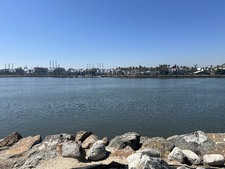 Enlarge photo 52