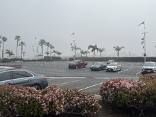 Enlarge photo 69