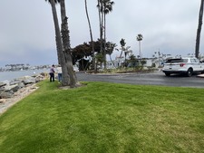 Enlarge photo 10