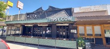 Tipsy Cow