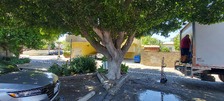 Enlarge photo 29