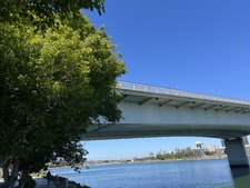 Jimmy Powell Hangs From Bridge