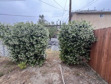 Enlarge photo 52