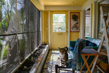 Enlarge photo 19