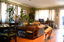 Enlarge photo 18