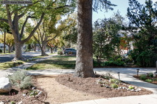 Enlarge photo 42