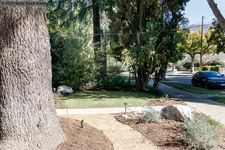 Enlarge photo 43