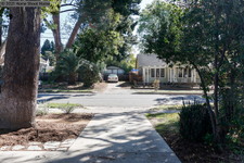 Enlarge photo 45