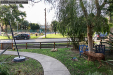 Enlarge photo 43