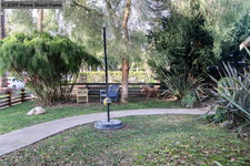 Enlarge photo 45