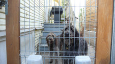 Enlarge photo 22