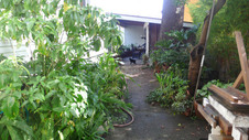 Enlarge photo 24