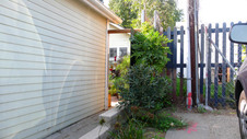 Enlarge photo 37