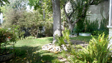 Enlarge photo 42