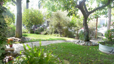 Enlarge photo 43