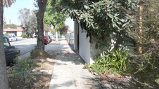 Enlarge photo 45