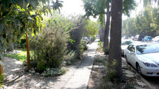 Enlarge photo 46