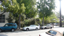 Enlarge photo 47