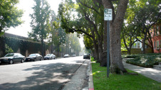 Enlarge photo 49