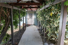 Enlarge photo 38