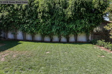 Enlarge photo 42