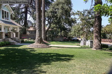 Enlarge photo 65