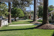Enlarge photo 67