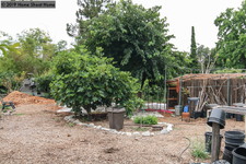 Enlarge photo 54