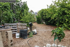 Enlarge photo 55