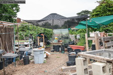 Enlarge photo 56