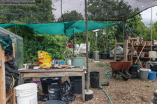 Enlarge photo 58