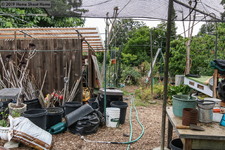 Enlarge photo 59