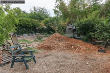 Enlarge photo 60