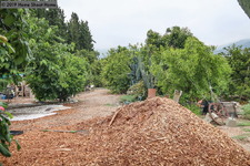 Enlarge photo 61