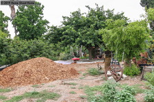Enlarge photo 62