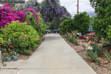 Enlarge photo 74