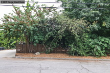Enlarge photo 75
