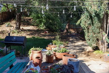 Enlarge photo 34