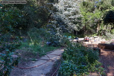 Enlarge photo 40