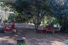 Enlarge photo 48