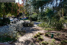 Enlarge photo 53