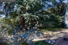Enlarge photo 54