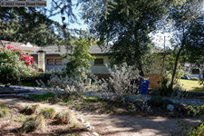 Enlarge photo 55