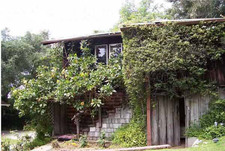 Enlarge photo 31