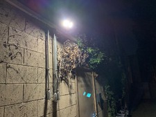 Enlarge photo 17