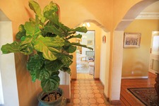 Enlarge photo 18